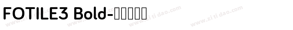 FOTILE3 Bold字体转换